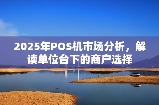 2025年POS机市场分析，解读单位台下的商户选择