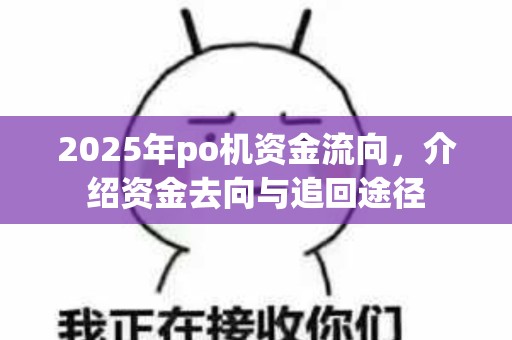 2025年po机资金流向，介绍资金去向与追回途径