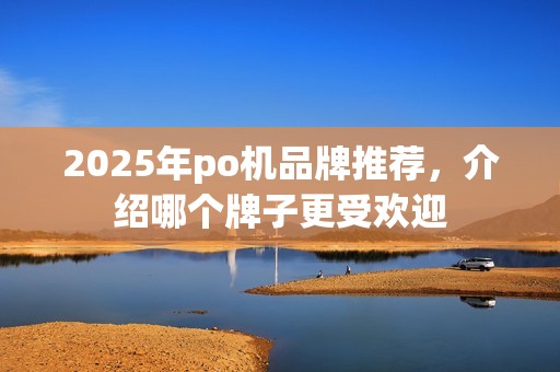 2025年po机品牌推荐，介绍哪个牌子更受欢迎