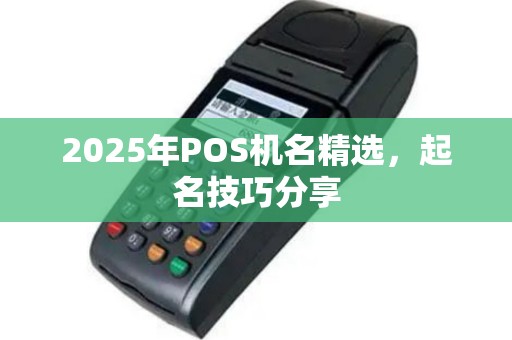 2025年POS机名精选，起名技巧分享