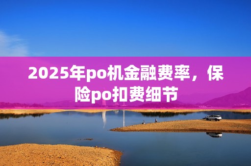 2025年po机金融费率，保险po扣费细节