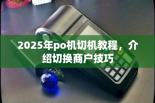 2025年po机切机教程，介绍切换商户技巧