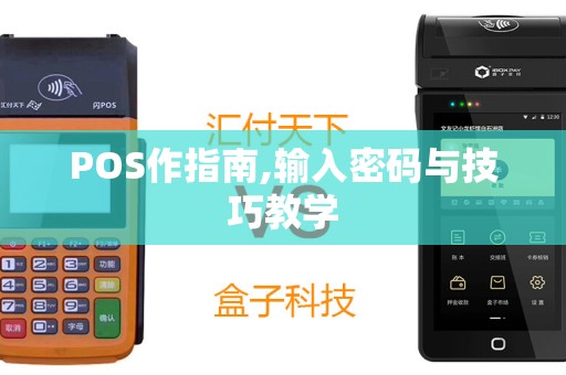 POS作指南,输入密码与技巧教学