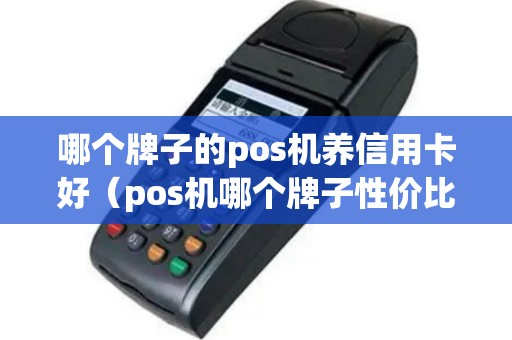 哪个牌子的pos机养信用卡好（pos机哪个牌子性价比高）