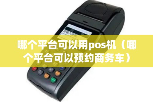哪个平台可以用pos机（哪个平台可以预约商务车）