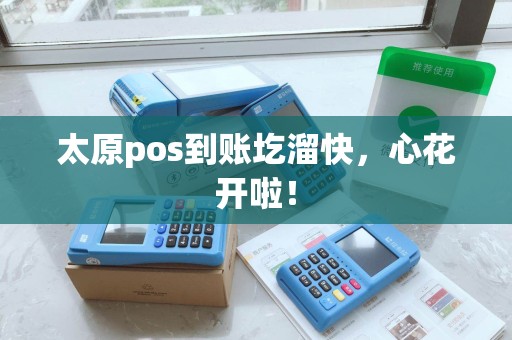 太原pos到账圪溜快，心花开啦！