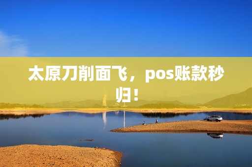 太原刀削面飞，pos账款秒归！