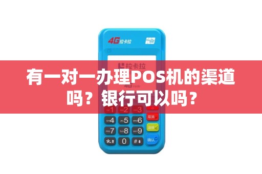 有一对一办理POS机的渠道吗？银行可以吗？