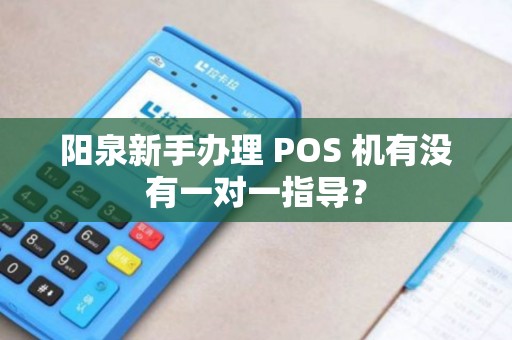 阳泉新手办理 POS 机有没有一对一指导? 阳泉新手办理 POS 机有没有一对一指导?