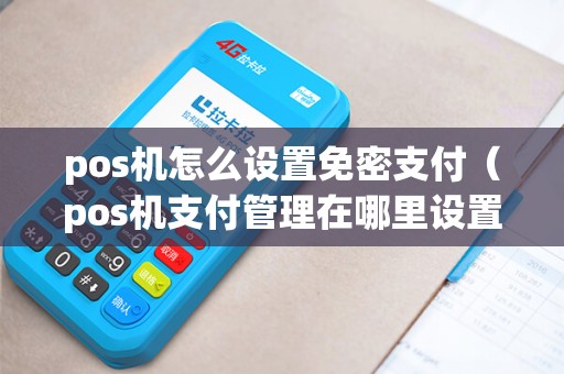 pos机怎么设置免密支付（pos机支付管理在哪里设置）