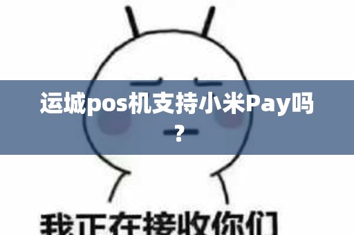 运城pos机支持小米Pay吗？