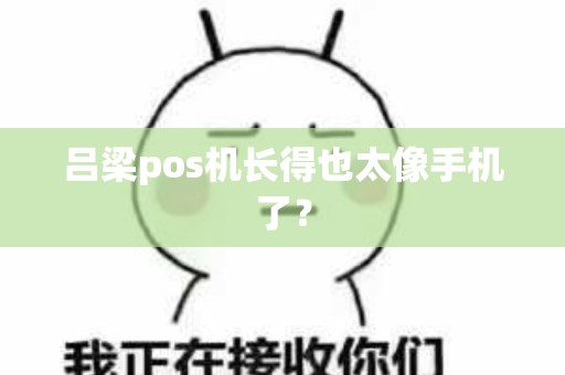 吕梁pos机长得也太像手机了？