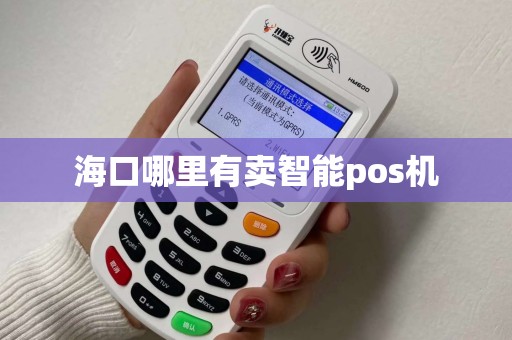海口哪里有卖智能pos机