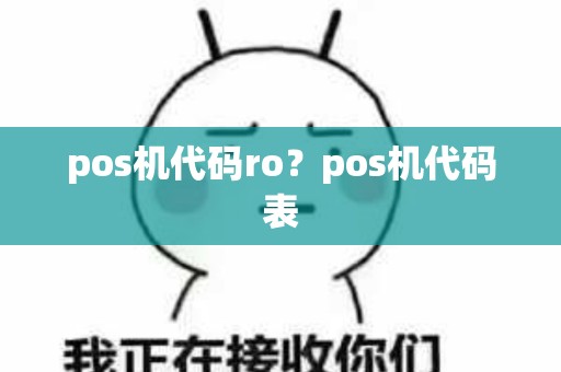 pos机代码ro？pos机代码表